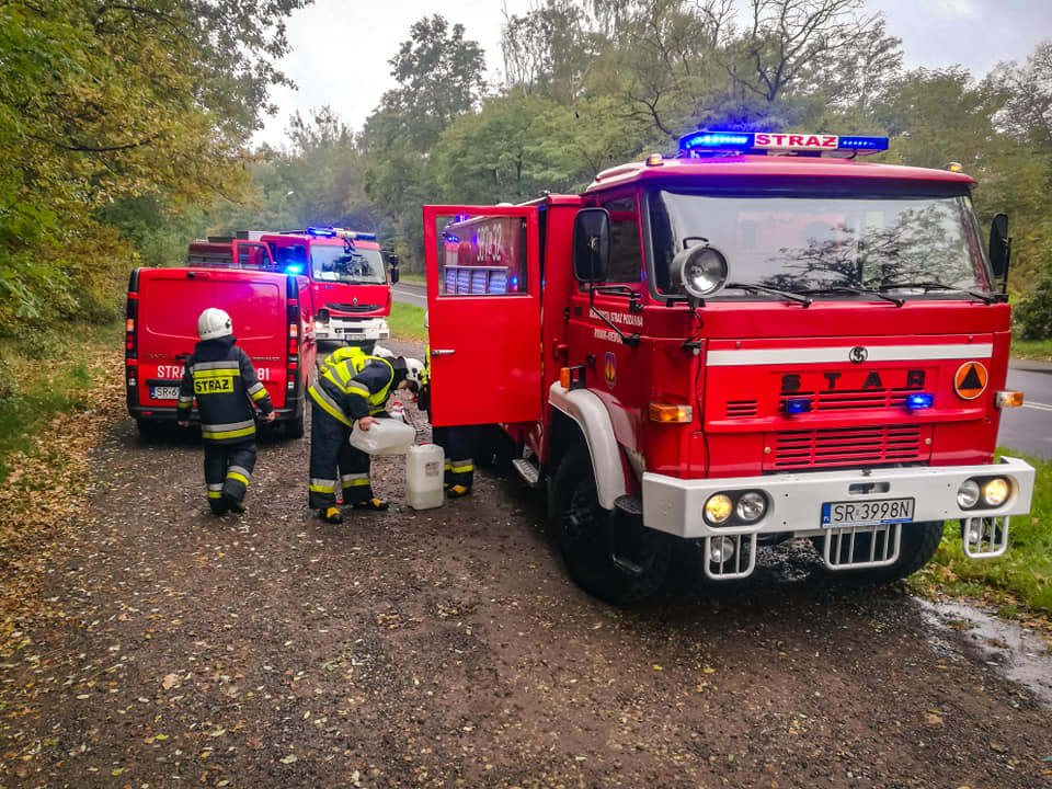 ospniewiadom125